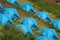 Blue tents on a terraced hill