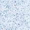 Blue terrazzo flooring seamless pattern. Vector texture of natural stones mosaic