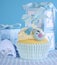 Blue theme baby boy cupcake with cute birds