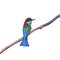 Blue-throated Bee-eater