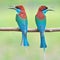 Blue throated Bee eater bird