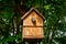 Blue tit bird, cyanistes caeruleus, about to fly from a nest box