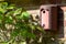 A Blue Tit bird looks up and studies its nest box on a brick wall