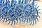 Blue toothed metal harrow for field tillage