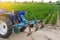 Blue tractor with a cultivator plow on the background of the green field of Bulgarian pepper plantation. Farming and agriculture.