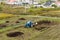 Blue tractor fertilizing a field, farmers spreading fertilizer with shovels, fertilizing fields