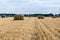 Blue tractor transporting haystack