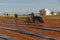 A blue tractor and workers planting water melon seeds and covering with black plastic