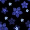 Blue translucent flowers on a black background