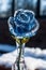 A blue transparent Rose made of ice.