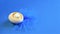 On a blue trendy background is an egg with a chicken. Trendy color background. Copy space