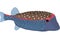 Blue Trunkfish Illustration