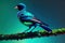 The blue or turquoise small passerine bird sitting on a branch in the rainforest with a dark background, generative ai