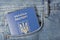 Blue ukrainian passport in pocket of jeans closeup