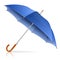 Blue Umbrella