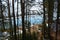 A blue unfrozen river can be seen through the trees in the winter forest