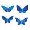 Blue vector butterfly clip art