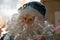 Blue Velvet Santa Claus