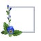 Blue viola frame. Floral botanical flower. Green leaf. Leaf plant botanical garden floral foliage. Frame border ornament