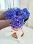 Blue and violet hydrangea packed as gift with white bow