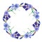 Blue and violet irises. Wreath.Watercolor flowers and leaves on white background.Illustration.