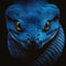 Blue viper snake closeup face head of viper snake