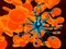 Blue virus inside in orange cells- 3D illustration