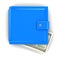 Blue wallet