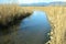 Blue Water Channel of River Beas Himachal Pradesh India Background View