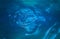 Blue water circle ripples natural in pool ocean sea lake