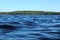 Blue water clear sky sunny day on finnish lake water waves close up. Beauty of nature skyline and forest with deep colored water.