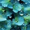 Blue water droplets on ginkgo leaves in layered compositions (tiled