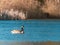 On the blue water of a lake swim some wild geese