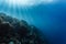 Blue water of the tropics refracts sunbeams down to coral reef in Caribbean