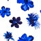 Blue Watercolor Background. Navy Flower Backdrop. Azure Seamless Decor. Indigo Hibiscus Plant. Pattern Texture. Tropical Wallpaper