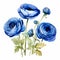 Blue Watercolor Flowers Illustration: Monochromatic Paintings With Realistic Watercolors