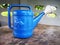 Blue Watering can with fish illustrate
