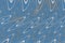 blue wave pattern music white sound wave acoustic waves wavelength current art