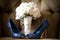 Blue Wedding Shoes white rose bouquet