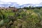 Blue Wells and natural park in Villa de Leyva, Colombia