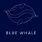 Blue whale logo and illustration design with white outline, perfect for logos, icons or illustrations