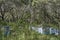 Blue and White Beehives in Australian Forest