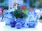 Blue and white china with red geranium still life