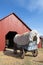 Blue and White Covered Wagon on a farmstead in Grapevine, Texas