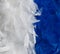 Blue and white feather boa background