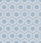 Blue and White Hexagon Tile Pattern Repeat Background