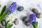 Blue and white hyacinths and Easter eggs