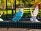 Blue and white parakeet inside a large birdhouse behind bars