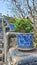 Blue and white plant pots that line the stairs.