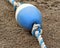Blue and white plastic BUOY laying on sand at beach
